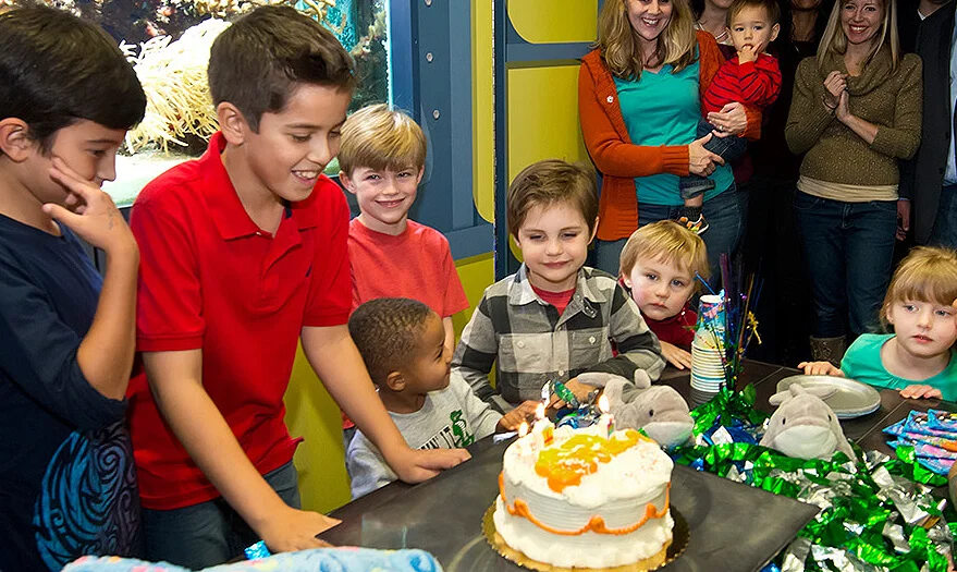 birthday-parties birthday-parties