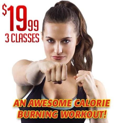 Krav Maga