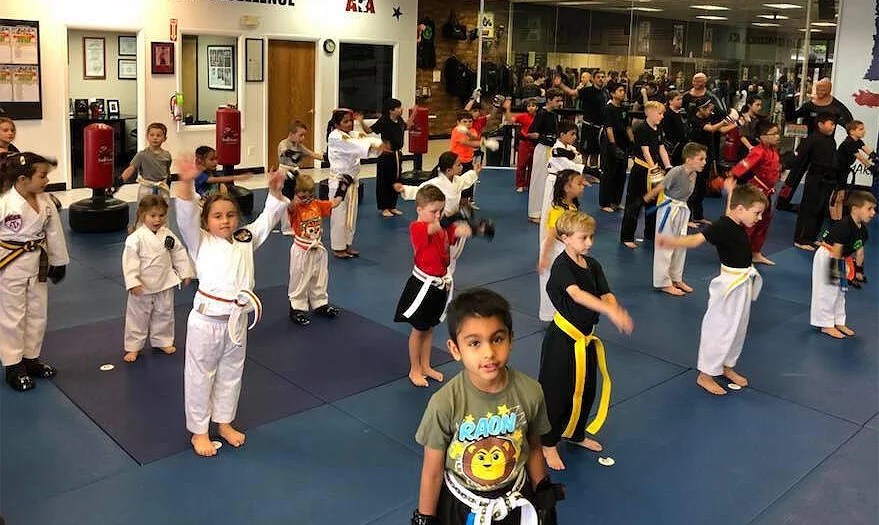 martial-arts-for-kids martial-arts-for-kids