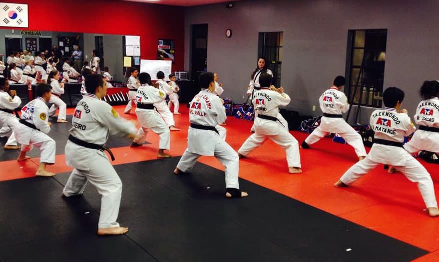 pines-school-of-taekwondo pines-school-of-taekwondo
